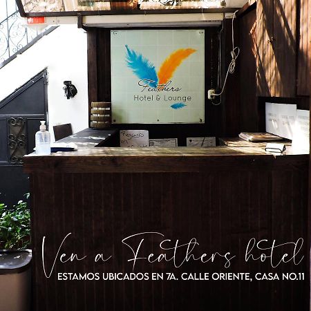 Feathers Hotel & Lounge 危地马拉安地瓜 外观 照片